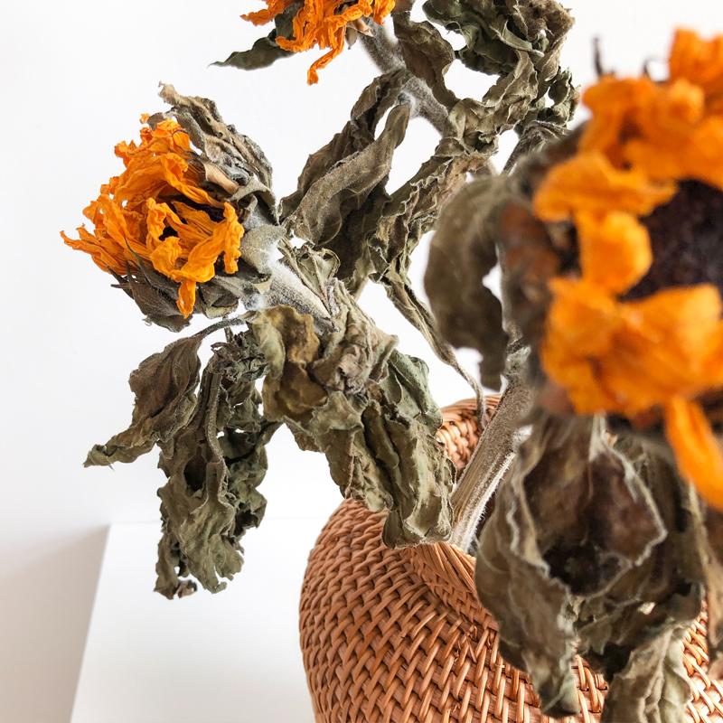 Aki Ratten Vase - Vases - YALA LIFE