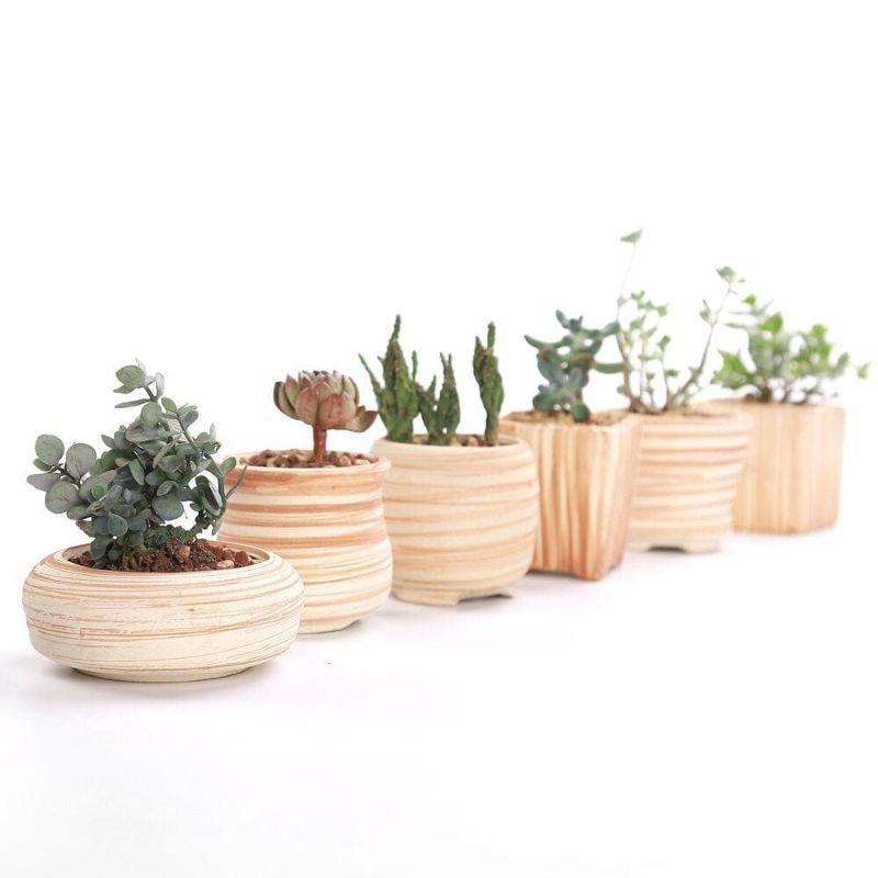 Mirage Flower Pots - Pots &amp; Planters - YALA LIFE